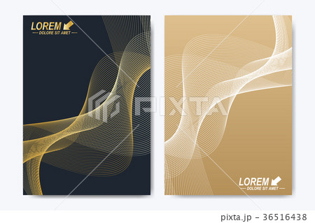 Modern vector template for brochure, leaflet 36516438