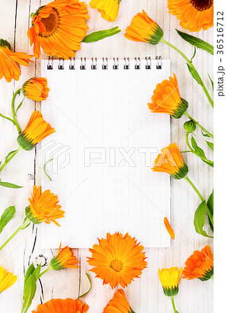Notebook with flowers marigold  36516712
