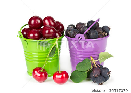 Two buckets with berries Two buckets with berries 36517079