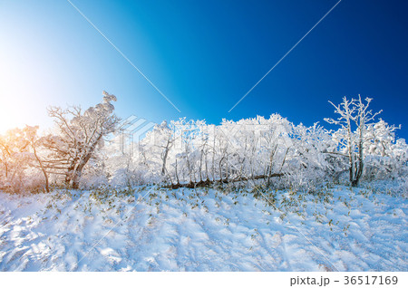 Deogyusan mountains is covered by snow in Korea. 36517169