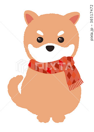 マフラーの子犬 マフラーの子犬 36517472