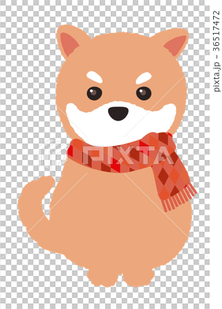 マフラーの子犬 マフラーの子犬 36517472