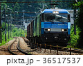 EH200形貨物列車 36517537