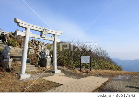 山頂 鳥居 山頂 鳥居 36517842