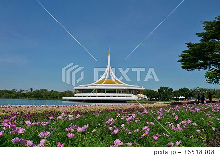 タイ王国ラマ9世公園（Suan Luang, Rama Ⅸ Park, Rama 9 Park） 36518308
