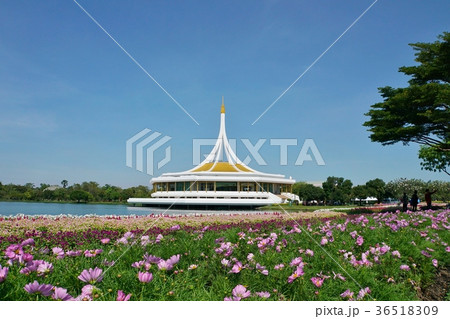 タイ王国ラマ9世公園(Suan Luang, Rama Ⅸ Park, Rama 9 Park) タイ王国ラマ9世公園(Suan Luang, Rama Ⅸ Park, Rama 9 Park) 36518309