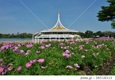 タイ王国ラマ9世公園（Suan Luang, Rama Ⅸ Park, Rama 9 Park） 36518313