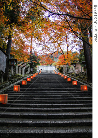 虚空蔵法輪寺、参道石段の紅葉 虚空蔵法輪寺、参道石段の紅葉 36519749