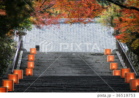 虚空蔵法輪寺の石段と紅葉 虚空蔵法輪寺の石段と紅葉 36519753