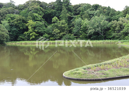 まがたま池 まがたま池 36521039