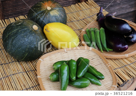 野菜 野菜 36521216