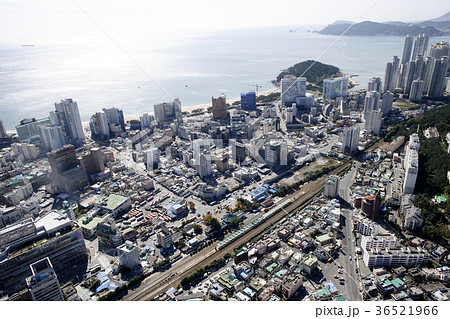 釜山 ビル 風景 36521966