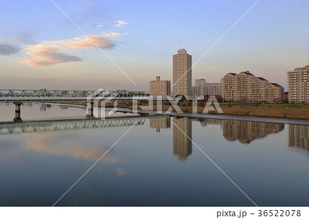 荒川・新船堀橋からの風景 36522078