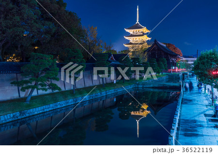 日本の秋 京都 東寺のライトアップと紅葉 36522119