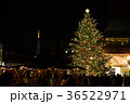 クリスマスツリーと東京タワー 36522971