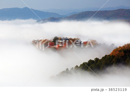 天空の山城 7254 天空の山城 7254 36523119