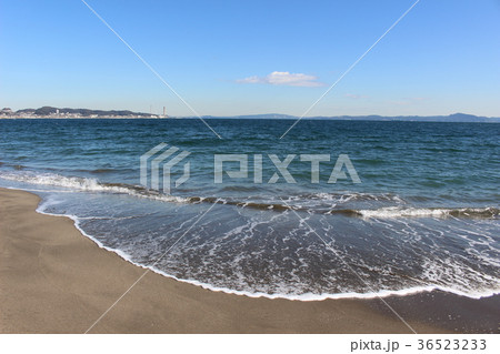冬の三浦海岸 36523233