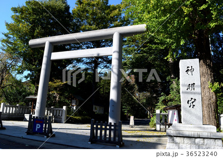 阿佐ヶ谷神明宮 阿佐ヶ谷神明宮 36523240