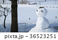 雪だるま７ 36523251