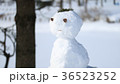 雪だるま８ 36523252