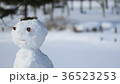 雪だるま９ 36523253
