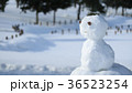 雪だるま10 36523254