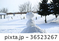雪だるま12 36523267