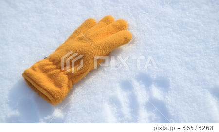 雪原の手袋１ 36523268