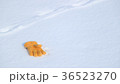 雪原の手袋3 36523270