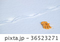 雪原の手袋4 36523271