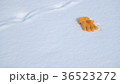 雪原の手袋5 36523272