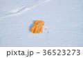 雪原の手袋6 36523273