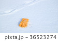 雪原の手袋7 36523274