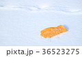 雪原の手袋8 36523275