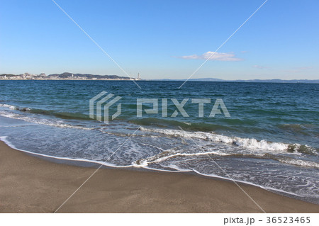 冬の三浦海岸 36523465