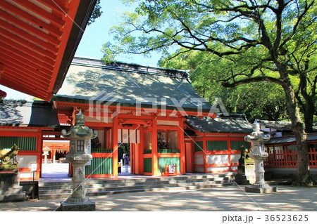 住吉神社の神門（福岡市） 36523625