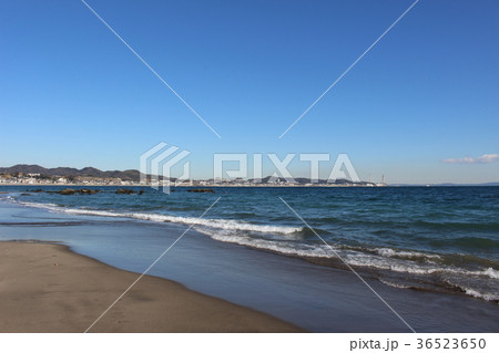 冬の三浦海岸 36523650