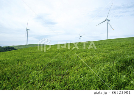 風力発電所 大関嶺牧場 平昌郡 36523901
