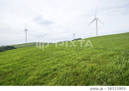 風力発電所 大関嶺牧場 タービン 36523903
