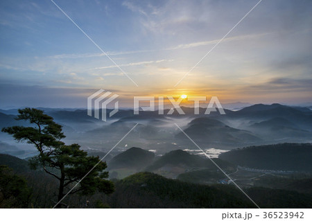任實郡 夕焼け 日の出 36523942