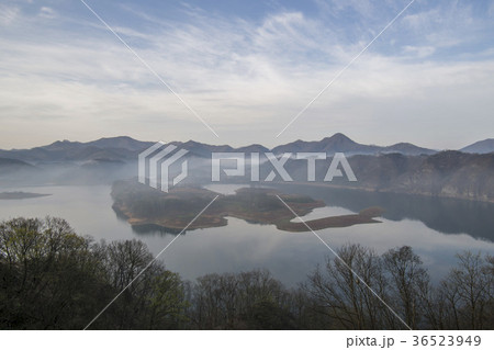 朝 湖 霧 36523949