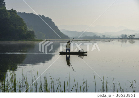 漁船 湿地 ボート 36523951