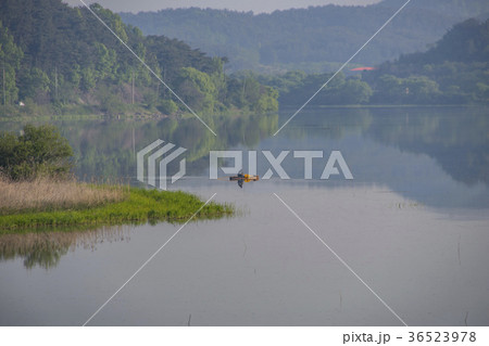 昌寧郡 山 湿地 36523978