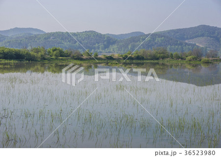 昌寧郡 自然 山 36523980