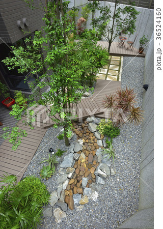 デザイン 柄 野望 36524160