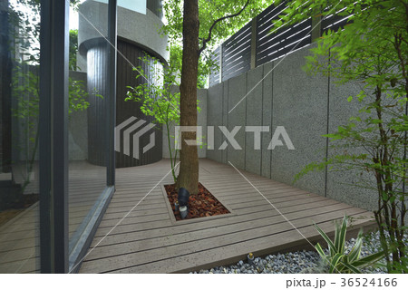 デザイン 柄 野望 36524166