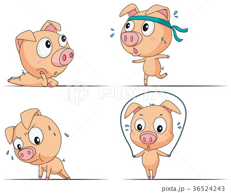 Little pig doing different exercises 36524243