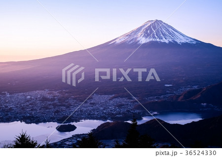 新道峠から望む富士山 (朝景) 新道峠から望む富士山 (朝景) 36524330
