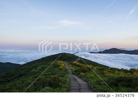 山 雲海 智異山 36524376