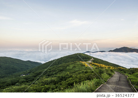 求礼郡 山 雲海 36524377